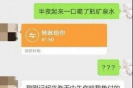 凌海专业讨债公司有哪些核心服务？